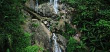 海南百花岭热带雨林文化旅游区7