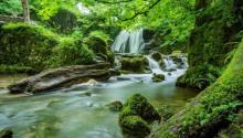 海南百花岭热带雨林文化旅游区12