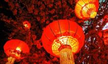 南湾花镇灯会4