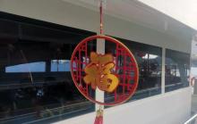 三亚河游艇生态游6