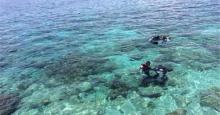 太阳湾海洋运动8