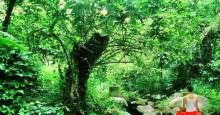 七仙岭君澜温泉1