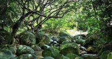 七仙岭君澜温泉4