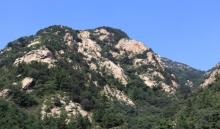 吊罗山国家森林公园9