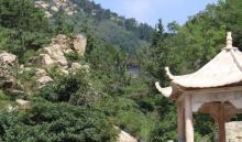 吊罗山国家森林公园8