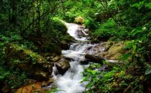 五指山热带雨林风景区10