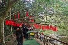 五指山热带雨林风景区5