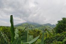 五指山热带雨林风景区28