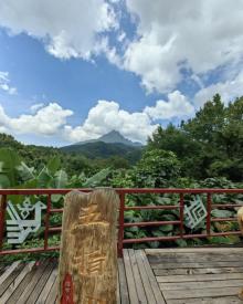 五指山热带雨林风景区16