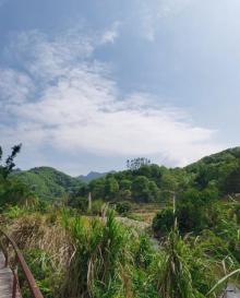 五指山热带雨林风景区29