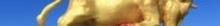 牛王岛1