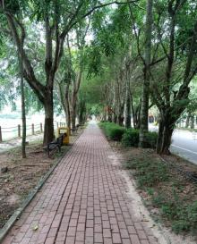 三亚学院14