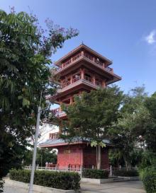 临春岭森林公园25