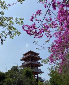 临春岭森林公园14