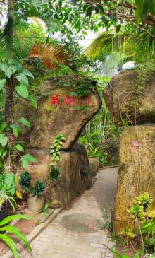 天行森林公园17