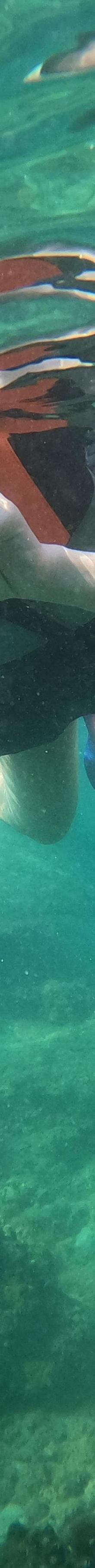 龙玺冲浪俱乐部2