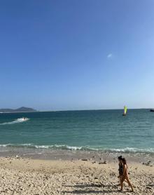 大东海29