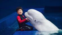 三亚亚特兰蒂斯失落的空间水族馆24