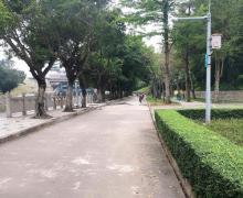 南桥公园2