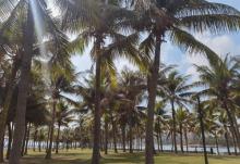 海滨公园10