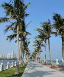 海滨公园23