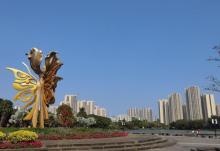 南国热带花园9