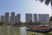 南国热带花园6