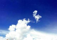 霞湖公园5