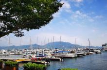 东海岛10