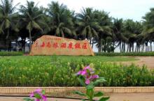 东海岛7