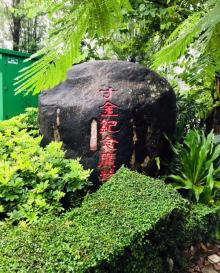 寸金桥7