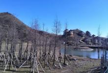 广东摩天小镇生态旅游度假区6