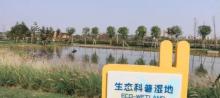 雅米乐园2