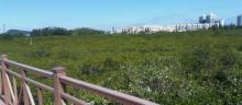 仙岛公园9