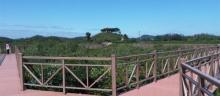 仙岛公园12