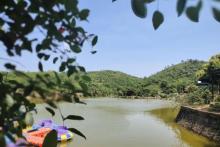 钦州那雾山森林公园8