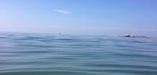 浪琴湾10