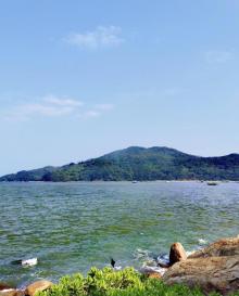 海陵岛红树林国家湿地公园10