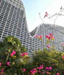 北部湾一号20
