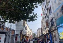 北部湾一号11