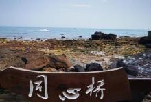 鳄鱼山景区26