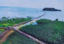 海陵岛19