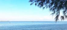 北海金海湾红树林生态旅游区14