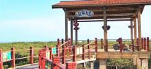 北海金海湾红树林生态旅游区23