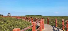 北海金海湾红树林生态旅游区21