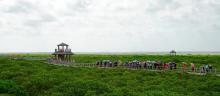 北海金海湾红树林生态旅游区29