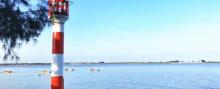 北海金海湾红树林生态旅游区20