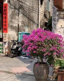 北海老街17