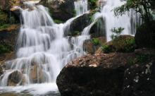 东兴屏峰雨林公园2