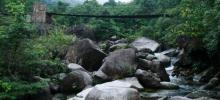 东兴屏峰雨林公园9